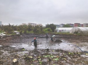 溪湖河道鱼塘清淤